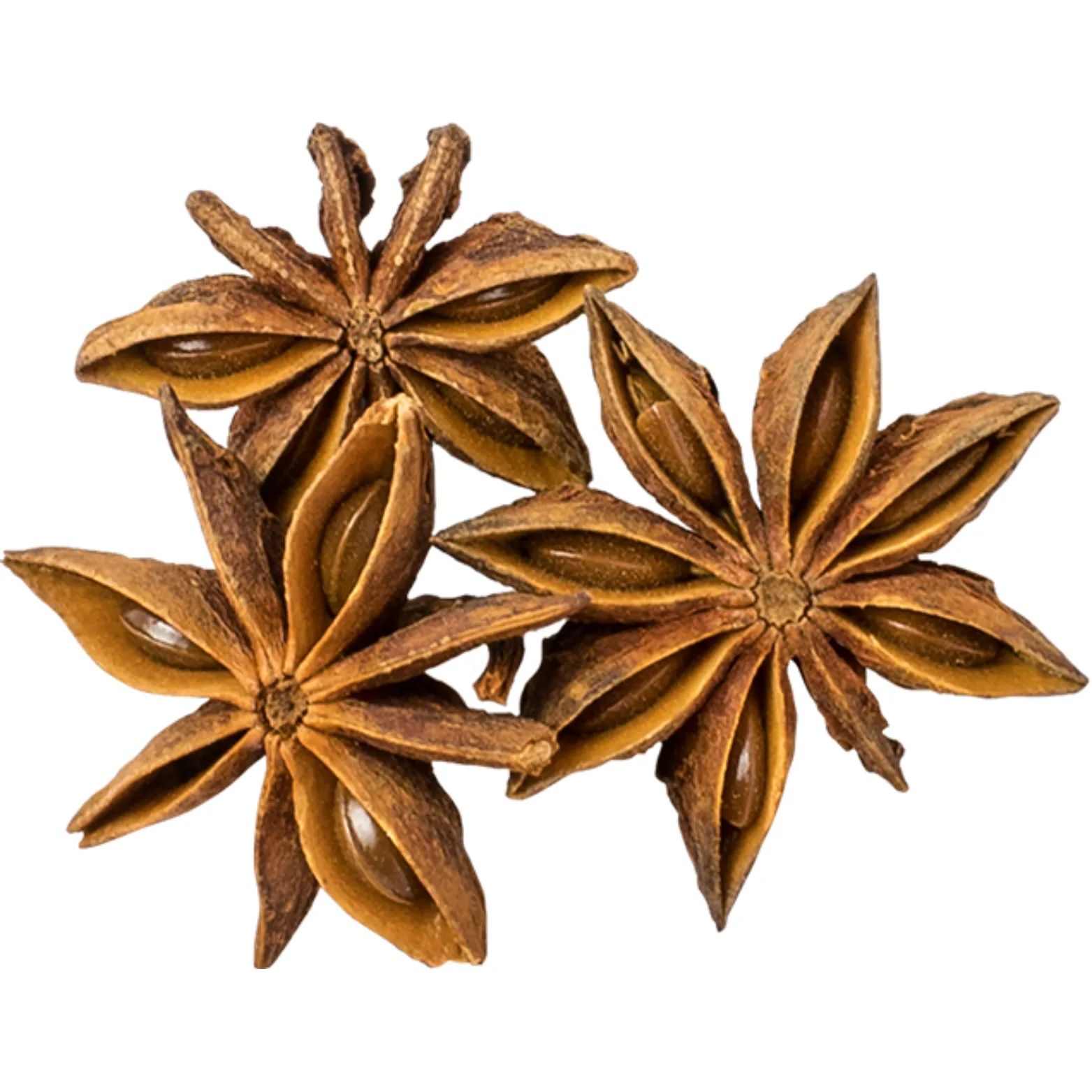 Anise Stars, Whole and Pieces Herb